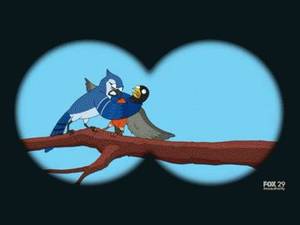 Bird Watching Porn - Bird Watching