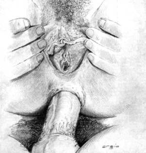 Drawn Hardcore Anal - Drawn Hardcore Anal Porn | Sex Pictures Pass