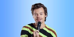 Louis Anderson Gay Porn - So much of gay sex in film is two guys going at it': Harry Styles under  fire for his comments about gay sex scenes : r/Fauxmoi