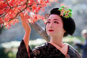 beautiful japanese geisha mai - The Amazing Story of the Japanese Geisha