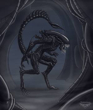 Human Xenomorph Porn - horny xenomorph