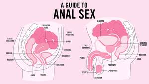 Anal Sex Diagram - 