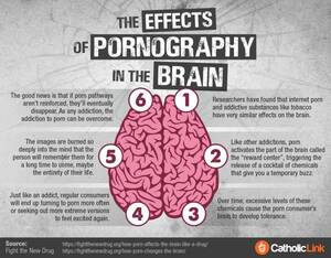 Dangers Of Porn - The Effects Of Pornograhy On The Brain | Catholic-Link