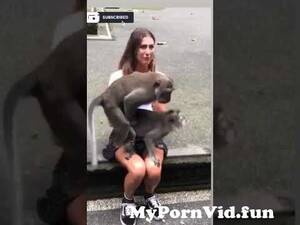 Funny Sexual - Unbelievable Animals funny short video#viral #funny #monky #king #trand #sex  #porn #xvideos from porn fuÃ§king videosnimals fuck mankaif special xxx  video 3gp downlod anwww xxx pure desi village girl sex photo downlods
