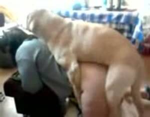 Bestiality Sex Movies - The best beastiality movies - Extreme Porn Video - LuxureTV