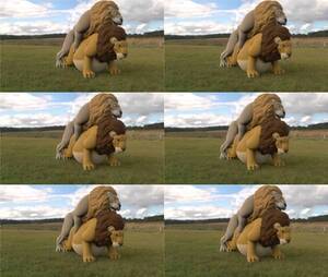 Furry Feral 2016 - swfchan: Feral Mpreg Magic by CudaCore  (PregnancyMaleFelineLionLionsSex3dRender).swf