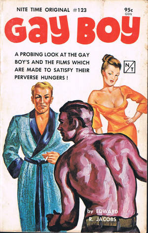 Gay Vintage Porn Books - Gay Boy