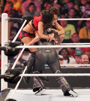 Brie Bella Stephanie Mcmahon Porn - Stephanie McMahon knocking the air out of Brie Bella :  r/WrestlingHumiliation