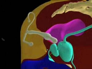 Anime Porn Hittng Prostate - p spot - XVIDEOS.COM