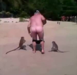 Monkey Porn Bestiality - man and monkey - Videos - All Bestiality in one place