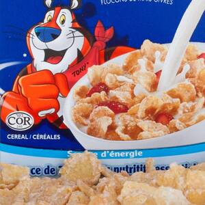 Gay Furry Cub Forced Porn - Cereal offenders: Tony the Tiger begs furries to stop tweeting him porn |  Internet | The Guardian