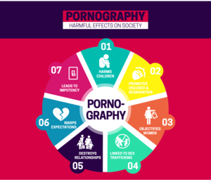 Effect Of Porn - 7 Harmful effects of pornography on society â€“ iMe Movement