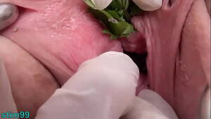 720p Nettle Dildo Porn - Nettles in Peehole Urethral Insertion Nettles & Fisting Cunt
