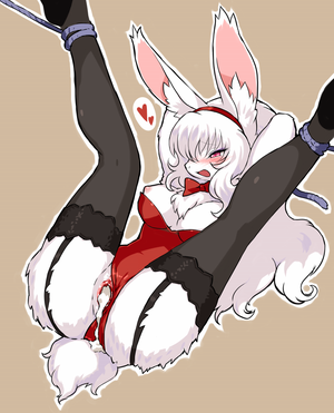 Anime Bunny Furry Porn - Rabbit Furry Bondage | BDSM Fetish
