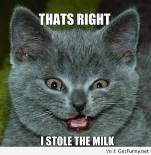 Caption Milk Theft - #Meme Maniac: That's Right