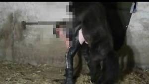 hores xxx black porn - horse cum Animal Porn, page 2