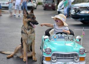 German Shepherd Furry Girl Porn - German Shepherd Dogs, German Shepherds, Rock, Children, Nature, People,  Happy, Fur Babies, Puppies