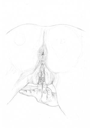 cartoon pussy drawings - Drawings Pussy - 63 photos