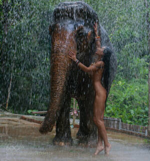 Girls Having Sex With Elephants - Elephant Porn Photos - EPORNER