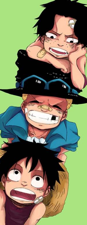 hentai no tits sex - ONE PIECE Zoro Ace Sabo Monkey D. Luffy Hinata porn sex tits Hentai