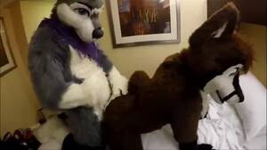 Gay Furry Sex - Search Results for gay furry pirn