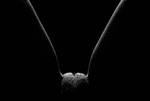 Erotic Pussy Art - sexy, nude, pussy, dark, minimalist wall, the variations of light and