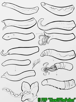 Different Types Of Tentacle Porn - Tentacle Types -Study- by clawofthefallen - Hentai Foundry