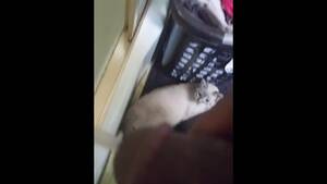 Black Cat Porn Peeing - Black Dick Piss Gay Porn Videos | Pornhub.com