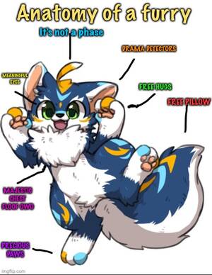 Furry Anatomy Porn - Anatomy of a furry (crappy edit by me) - Imgflip