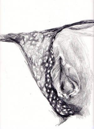 Fairy Tail Pussy Comparison Orn - Woman is a cunt, she is pussy. This is all ugly to many.