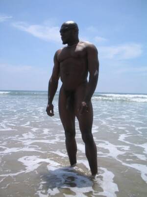 big black dick nude beach - Some good photos of nude black cocks
