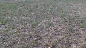 Family Guy Porn Meg And Chris - XGX.mobi - Family Guy Porn Meg And Chris - Mobile Hot HD Porn Videos Xxx  Sex Videos ðŸ˜‹