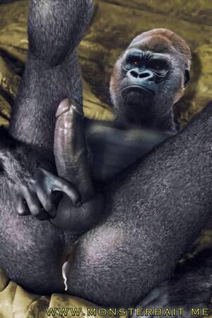 Gorilla Porn - gorilla porn | Monsterbait