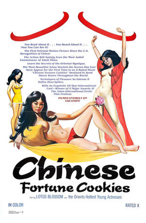 asian adult movies - 8 - Vintage Adult Film Posters