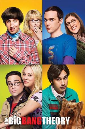 Big Bang Theory Tv Show Porn - The Big Bang Theory - Blocks - Official Poster