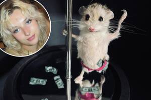 Hamster Mature Blonde Porn Stars - I spent over $200 to immortalize my pet hamster â€” as a stripper
