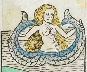 Medieval Art Ancient Porn - The siren in the Hortus sanitatis, â€œDe piscibusâ€, chapter published in  (British Library, twin tailed mermaid, melusine
