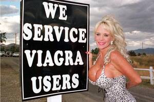 Kathy Willets Porn Star - Weirdest Florida stories: Circus murder, cockroach eating, and police  prostitution scandal.