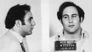 Berkowitz Porn - 