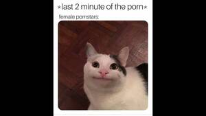 Meme Xxx Caption Porn - Funny Porn Memes you will Explode to - Pornhub.com