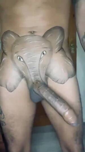 girl takes elephant dick - Elephant dick - ThisVid.com