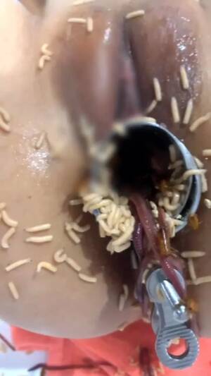 Insect Insertion Anal Porn - Disgusting: Worms and bugs in pussy - ThisVid.com