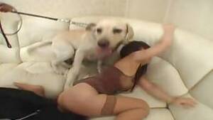 d 0g fucking asian - Asian girl fucking a dog in a hot way