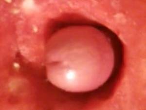 a camera inside pussy sex - Dick inside pussy cam xxx - Dick inside pussy camera penis in action inside  a vagina