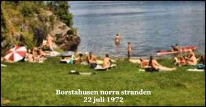 brazilian naturist beach - Fact Check: Swedish attitudes toward sexuality and public nudity â€“ The  Americas Revealed