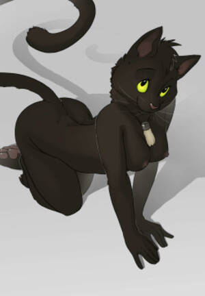 Black Cat Anime Porn Furry - Artist: sefeiren Page 2 - Free Hentai Manga, Doujinshi and Anime Porn