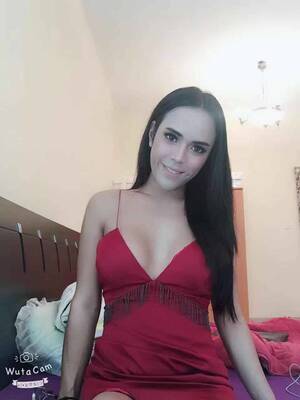 ladyboy escort vip - TS Shemale Escort Cock Goddess Angel Anal Sex BDSM Domination - Dubai  Bunnies
