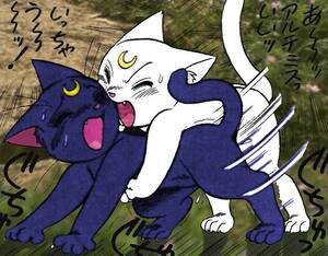 Cat Sailor Moon Porn - Sailor Moon E Hentai image #252796