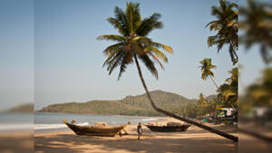 amateur beach topless sunbathing - Explore Goa's secret beaches and indulge your taste buds - The Economic  Times