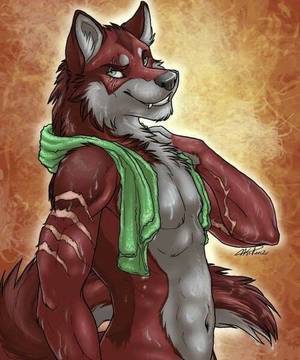 Gay Furry Wolf Sex - Scarred